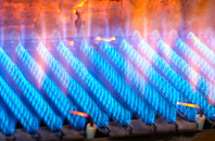Mapperton gas fired boilers